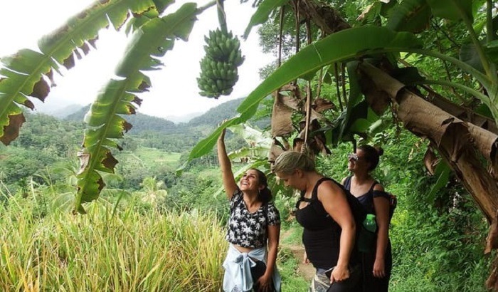 0785547f-6c28-441d-88f3-bb8f68b0d554_heeloya-village-trek-wih-swimming-at-nature-pool--from-kandy-medium